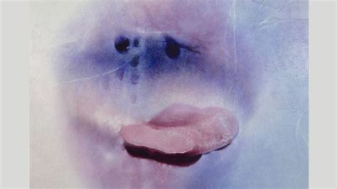 naked oma|Sex positivity after 70: Marilyn Minter’s sensual photographs of ...